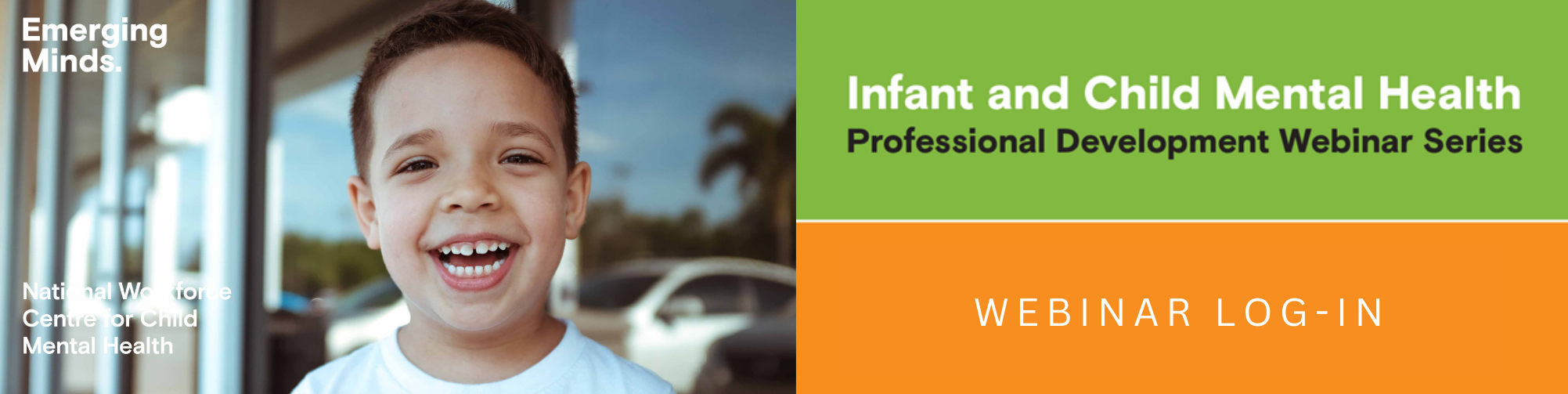Professional Development Webinar Series
